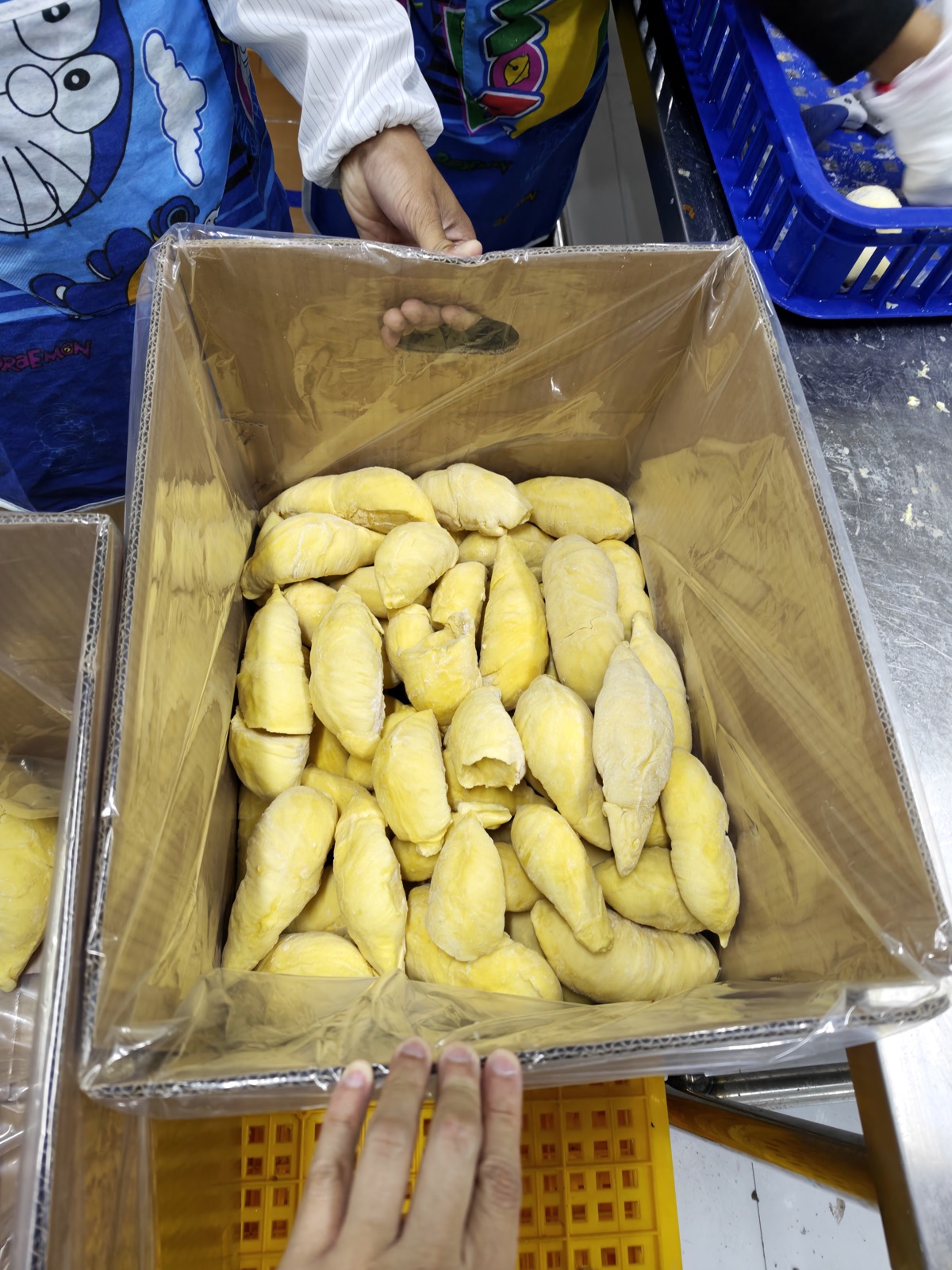 带壳榴莲与金黄果肉